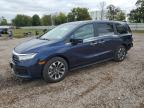 HONDA ODYSSEY EX photo