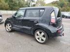 KIA SOUL + photo