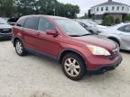 HONDA CR-V EXL photo