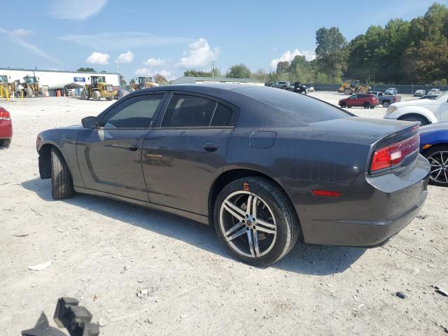 VIN 2C3CDXAG1DH661404 2013 Dodge Charger, Police no.2