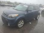 KIA SOUL + photo