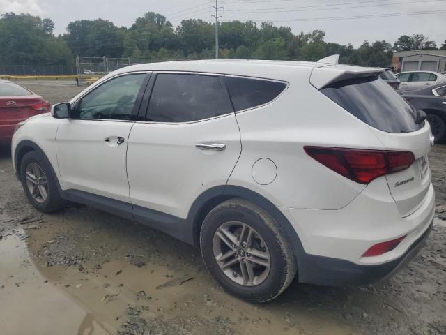 2017 HYUNDAI SANTA FE S - 5NMZT3LBXHH034939