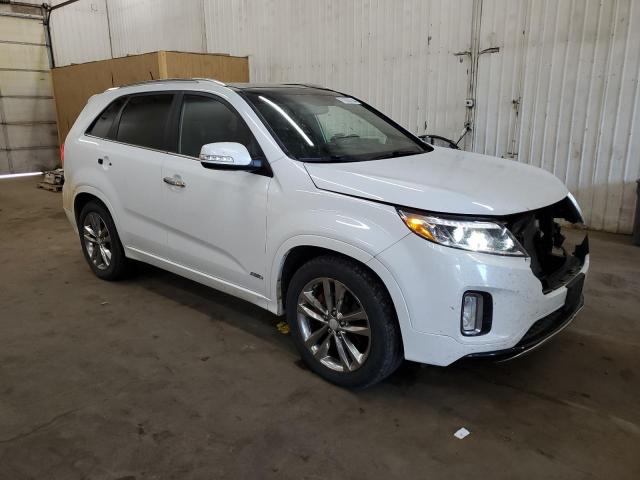 Vin: 5xykwda78eg450815, lot: 71933794, kia sorento sx 20144