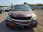 HONDA ODYSSEY EX photo