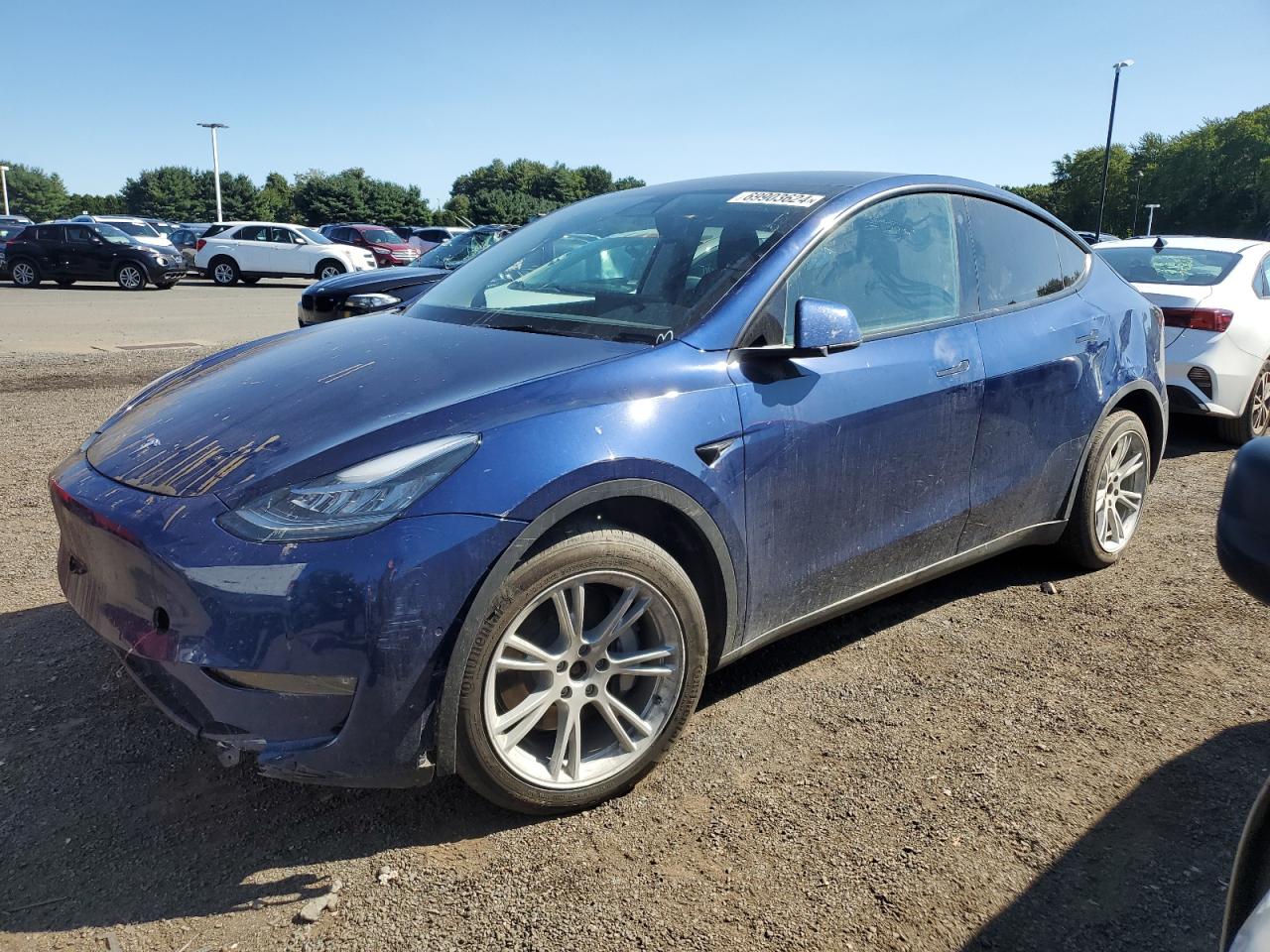 Lot #2827259239 2022 TESLA MODEL Y