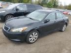 HONDA ACCORD EX photo