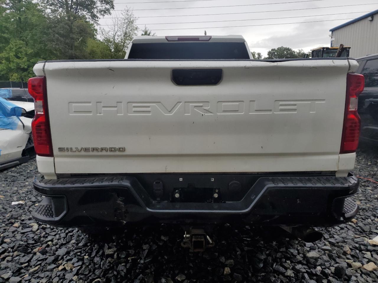 Lot #3027011835 2020 CHEVROLET SILVERADO