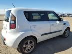 KIA SOUL + photo