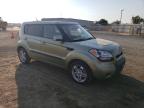 KIA SOUL + photo