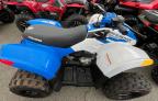 POLARIS PHOENIX 20 снимка