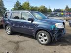 HONDA PILOT EXL photo