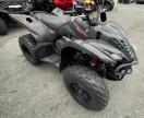 YAMAHA YFM450 FAS photo