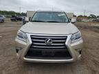 LEXUS GX 460 photo