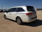 HONDA ODYSSEY EX photo