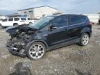 Lot #3024737229 2014 FORD ESCAPE TIT