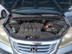 HONDA ODYSSEY EX photo