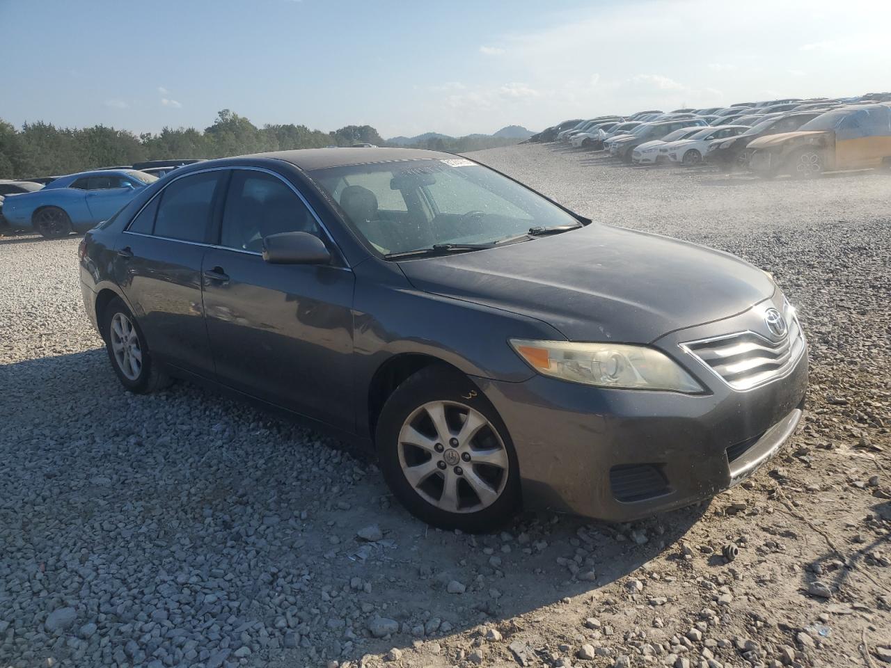 Lot #3308282165 2010 TOYOTA CAMRY BASE