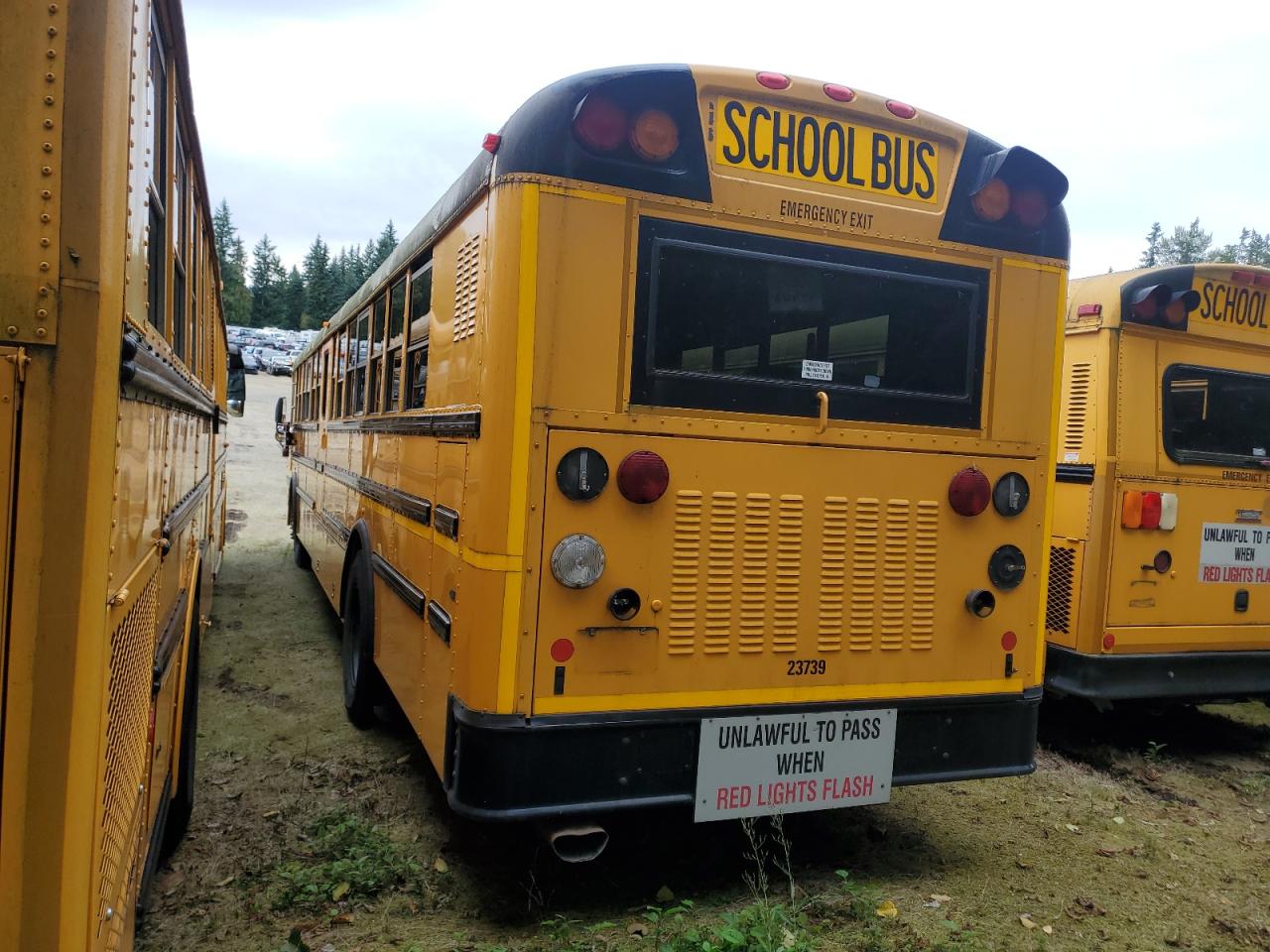 Lot #3257119222 2013 IC CORPORATION RE SERIES SCHOOL