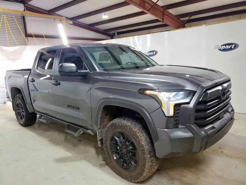 2025 TOYOTA TUNDRA CREWMAX SR 5TFLA5DBXSX253484