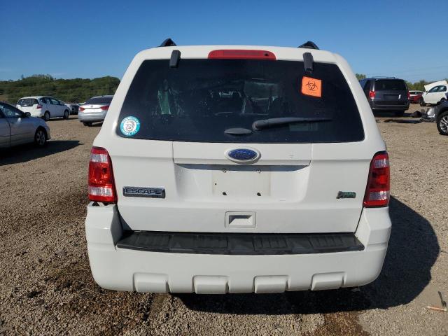 2011 FORD ESCAPE XLT - 1FMCU0DG1BKB95991
