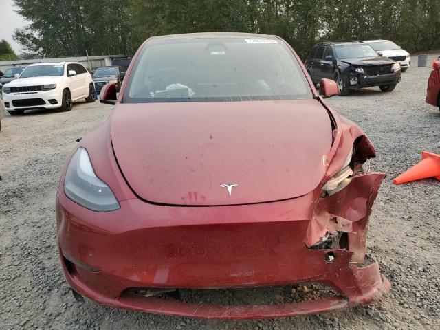 2025 TESLA MODEL Y - 7SAYGAEE7SF278264