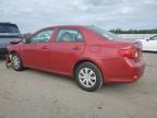 Lot #3292409264 2009 TOYOTA COROLLA BA