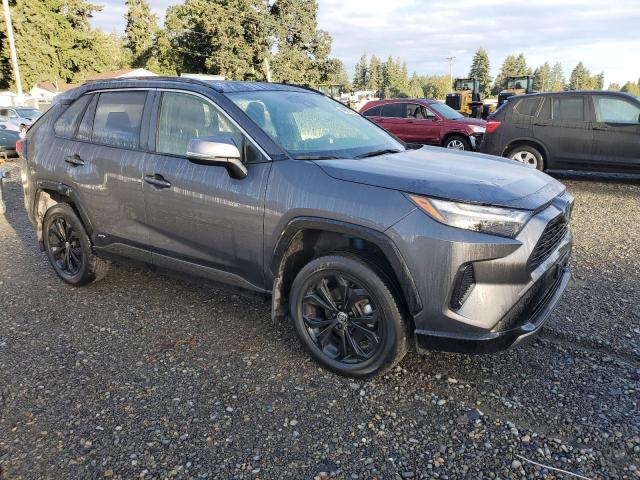 2023 TOYOTA RAV4 SE JTM16RFVXPD096961