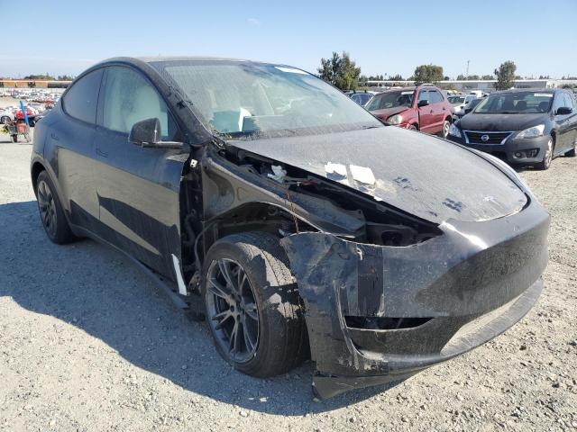 2024 TESLA MODEL Y 7SAYGDED7RF201946