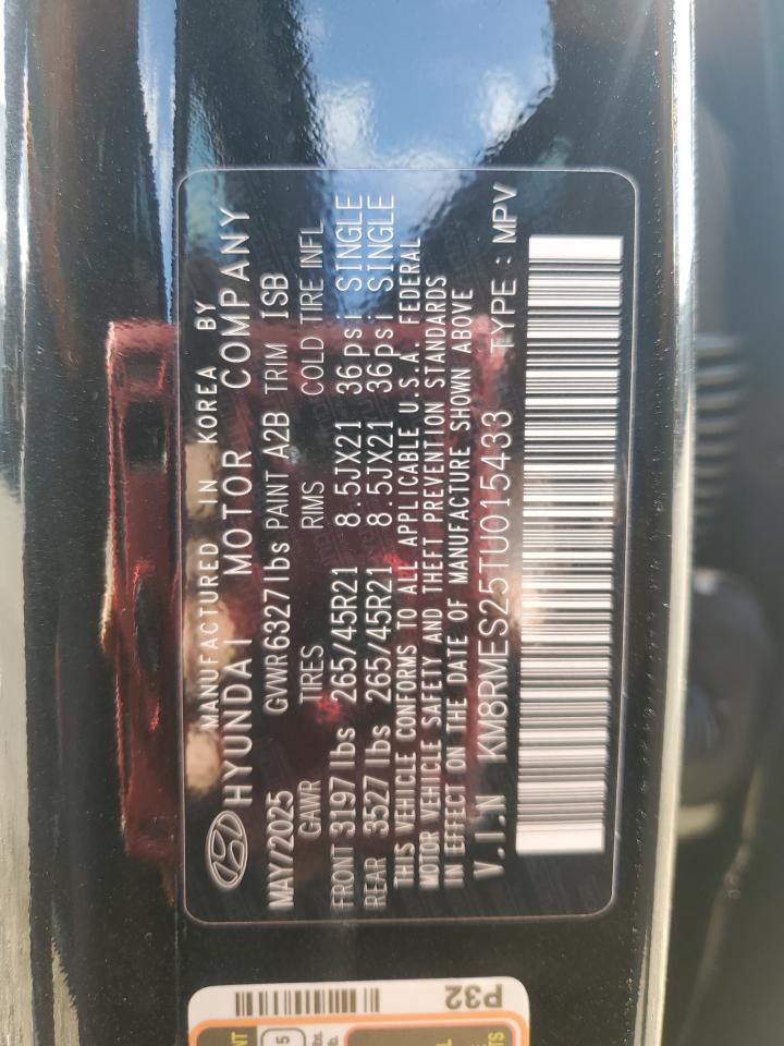 HYUNDAI PALISADE CALLIGRAPHY