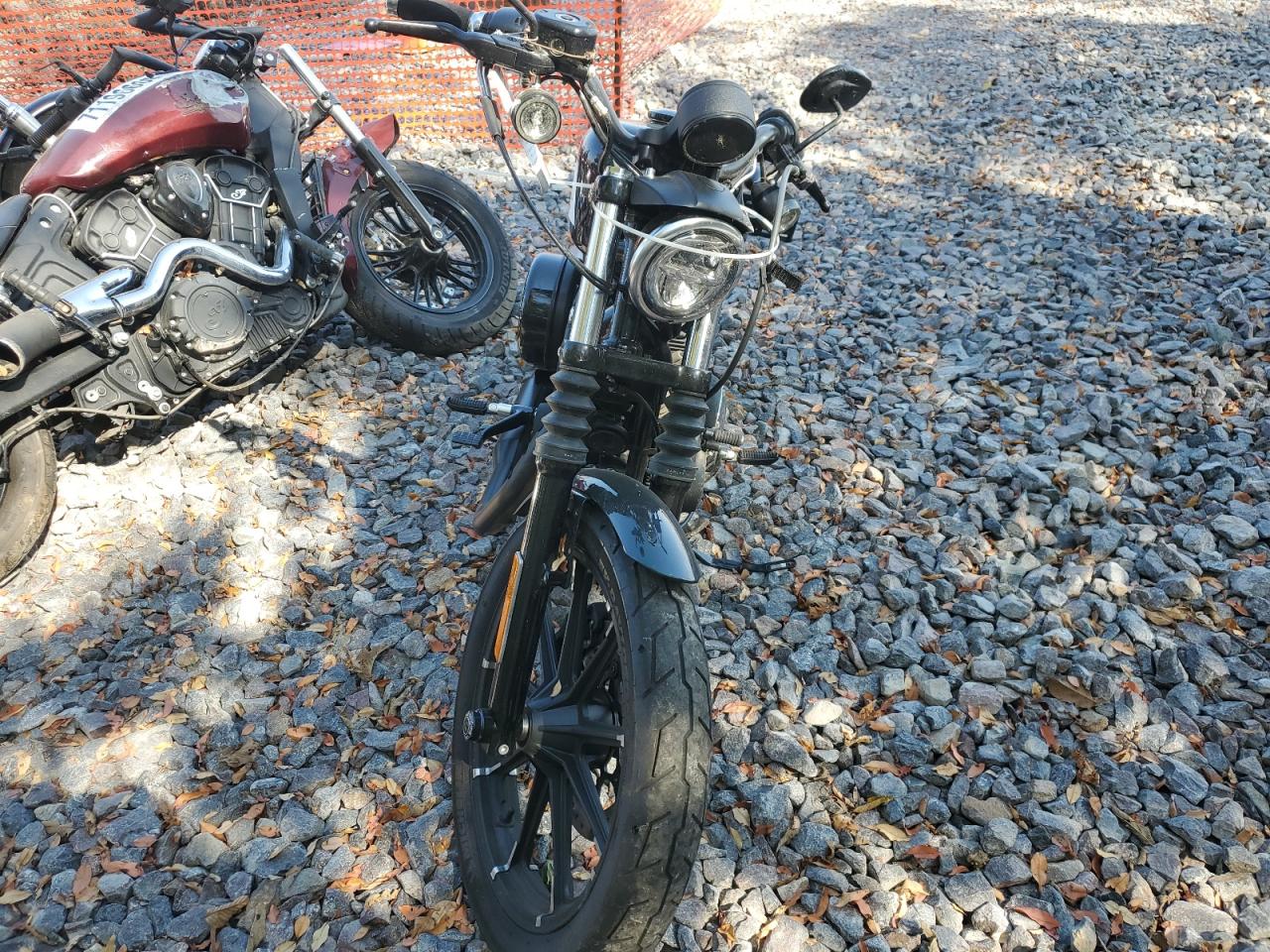 Lot #3256576671 2021 HARLEY-DAVIDSON XL883 N