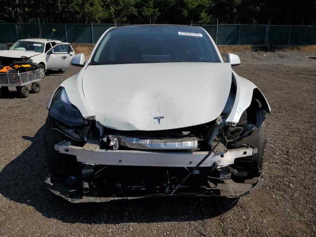2023 TESLA MODEL Y 7SAYGDEE3PF811994