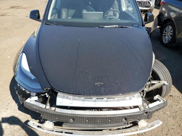 2025 TESLA MODEL Y 7SAYGDEE7SA354497