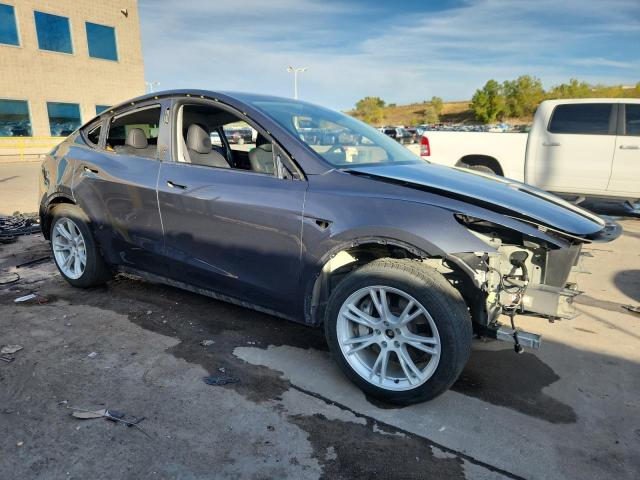 2023 TESLA MODEL Y #3291765233