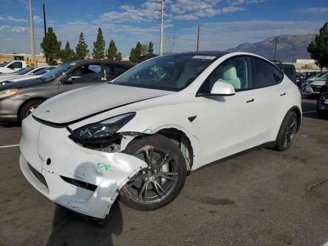 Global Auto Auctions: 2024 TESLA MODEL Y