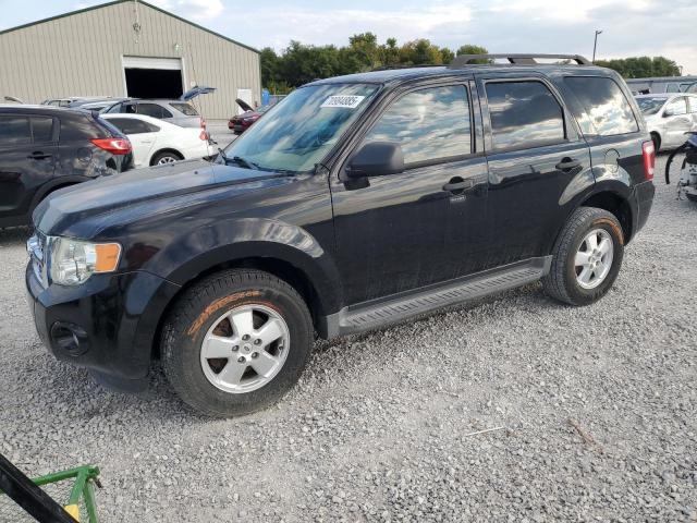 Global Auto Auctions: 2012 FORD ESCAPE XLT