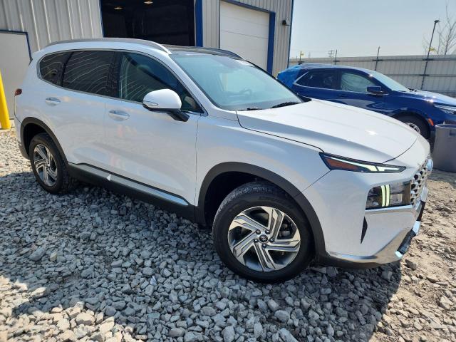 2023 HYUNDAI SANTA FE SEL PREMIUM 5NMS3DAJ4PH523983