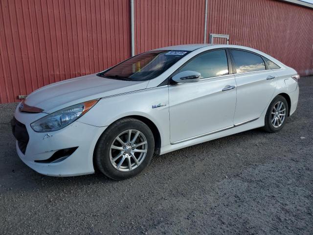 Global Auto Auctions: 2012 HYUNDAI SONATA HYB