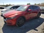 Top Destinations for Shipping Cars from the USA