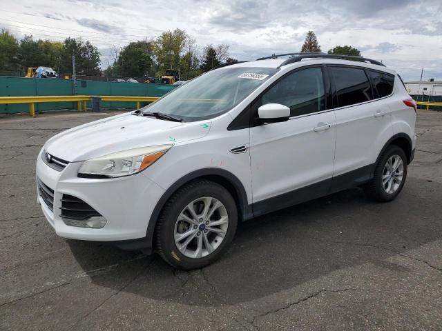 Global Auto Auctions: 2014 FORD ESCAPE SE