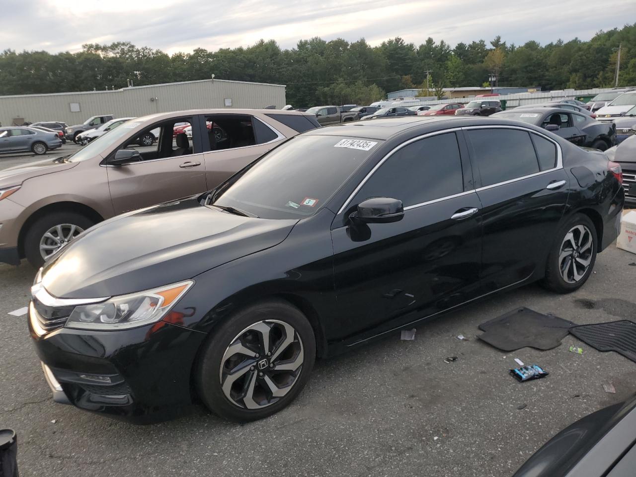 Lot #3254700172 2016 HONDA ACCORD EXL