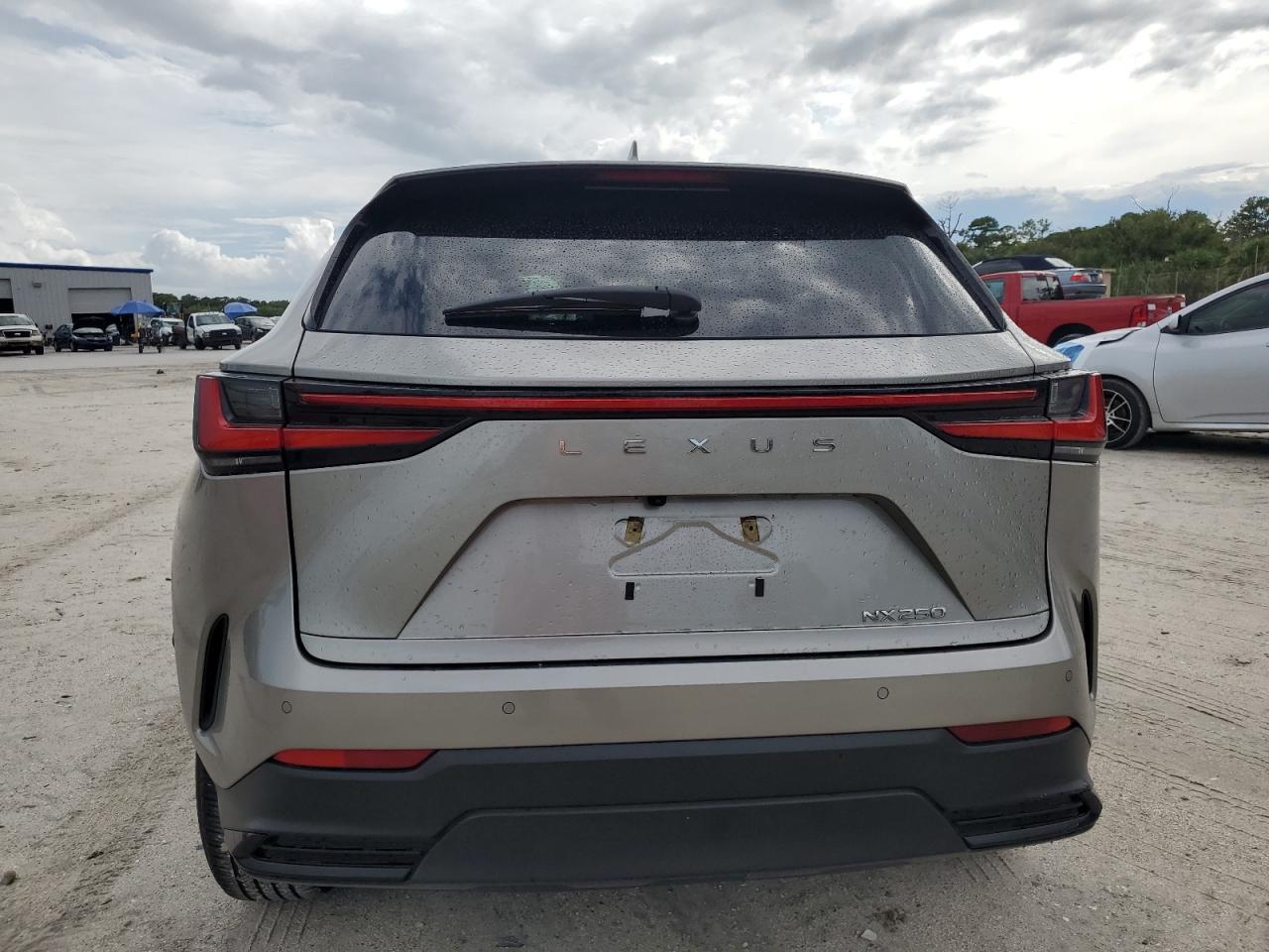 LEXUS NX 250 PREMIUM