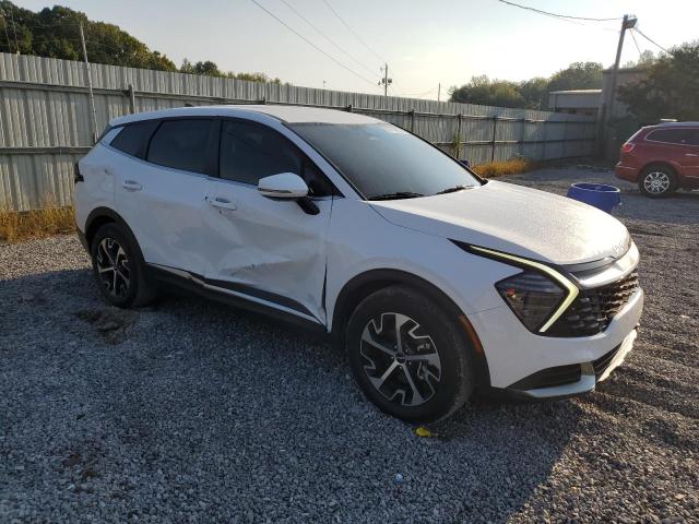 2024 KIA SPORTAGE EX 5XYK33DF9RG165424