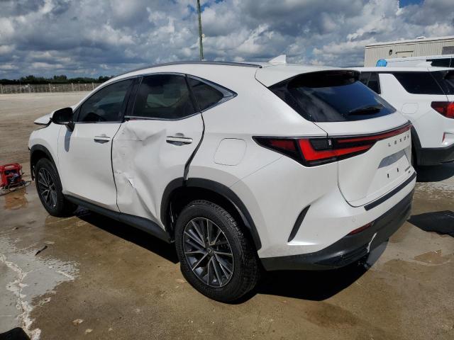 2025 LEXUS NX 350H BA 2T2AKCEZXSC032188