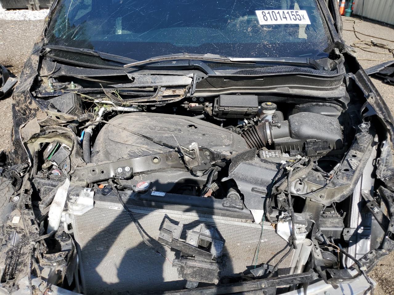 HONDA PASSPORT TRAIL SPORT