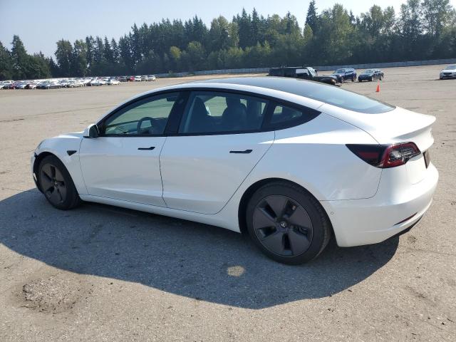 2021 TESLA MODEL 3 5YJ3E1EB5MF002168