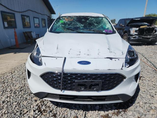2022 FORD ESCAPE SE #3294429539