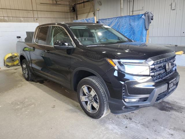 2024 HONDA RIDGELINE RTL 5FPYK3F53RB010660
