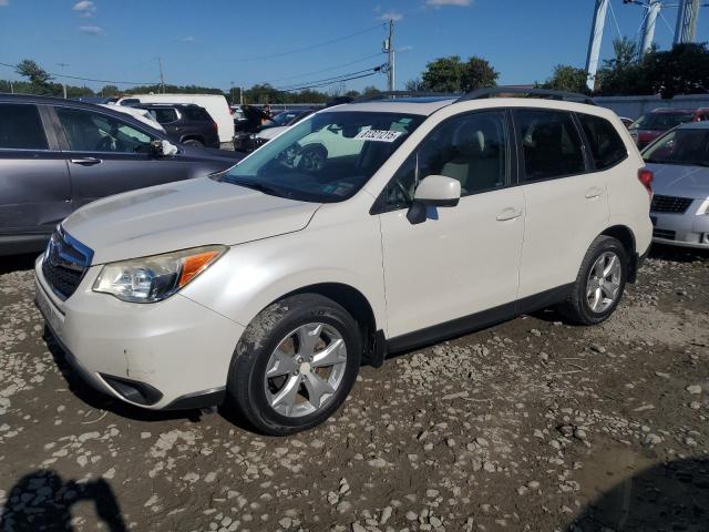 2015 SUBARU FORESTER 2 - JF2SJADC1FH491495