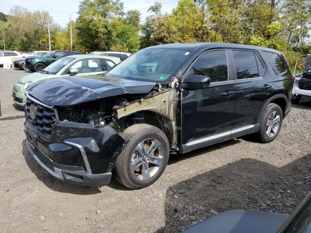 Global Auto Auctions: 2024 HONDA PILOT EXL