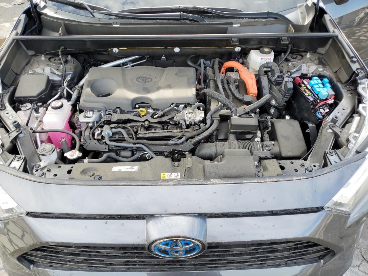 TOYOTA RAV4 XLE PREMIUM